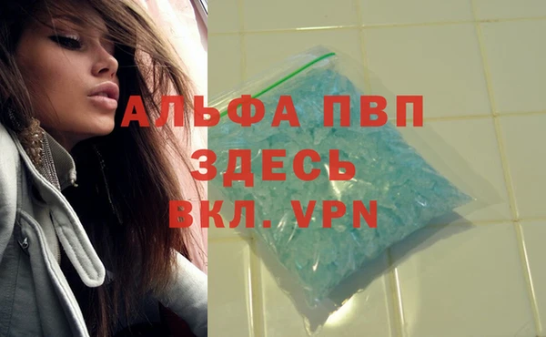 кокс Ельня