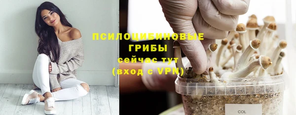 твердый Гусь-Хрустальный
