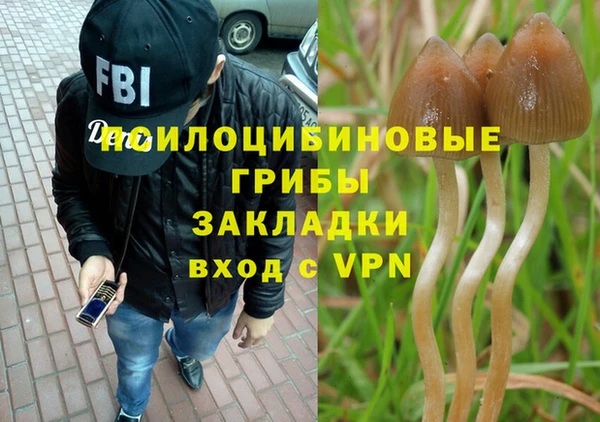 mdma Гусев