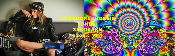 кокс Ельня