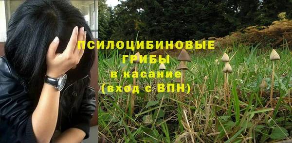 герыч Вяземский